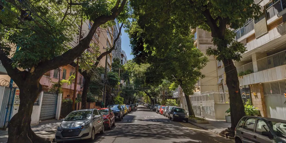 Rua Antônio Basílio, arborizada e residencial, onde fica o Basílio Tijuca